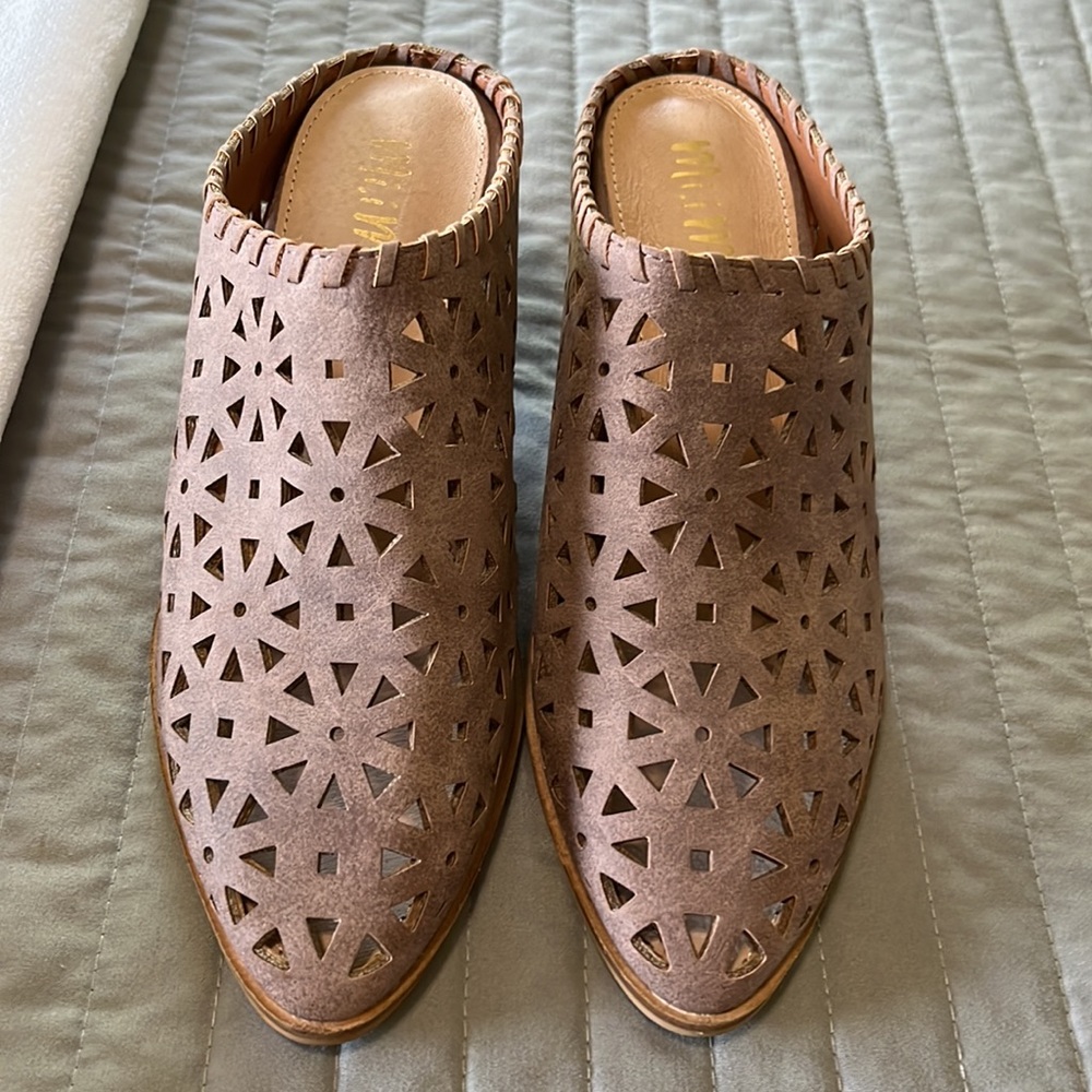 Buckle - Picture 2 of 6